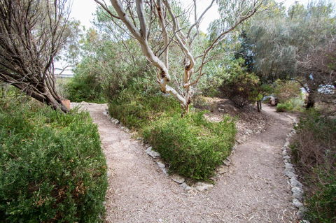 Coorong Waterfront Retreat - Australian Directory 19