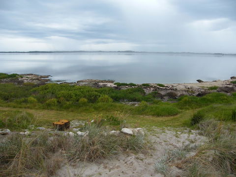Coorong Waterfront Retreat - Australian Directory 28