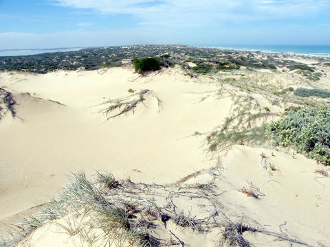 Coorong Waterfront Retreat - Australian Directory 32