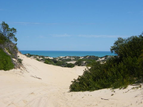 Coorong Waterfront Retreat - Australian Directory 23