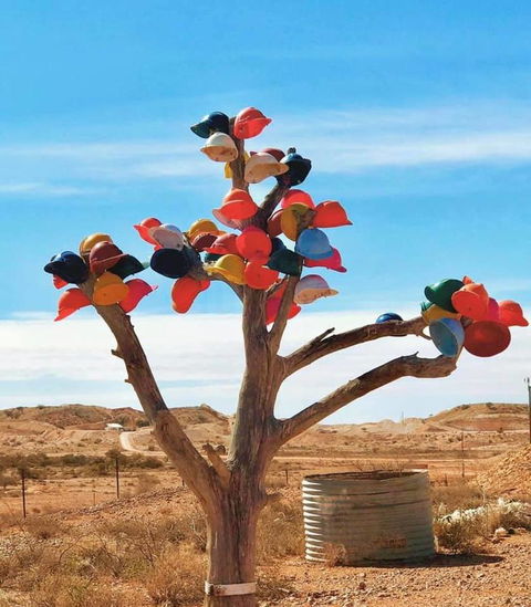 Aussie Opal Diggers Outback Retreat-Undergound - Australian Directory 29