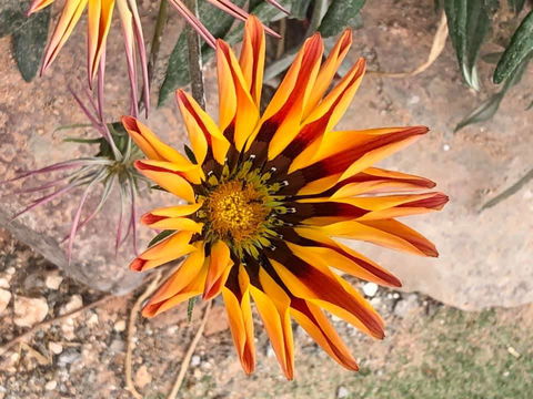 Aussie Opal Diggers Outback Retreat-Undergound - Australian Directory 26