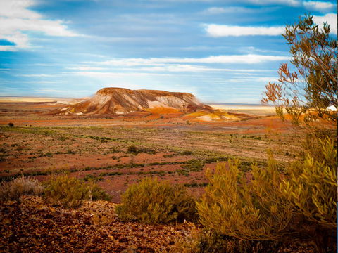 Ali's Underground - Australian Directory 17