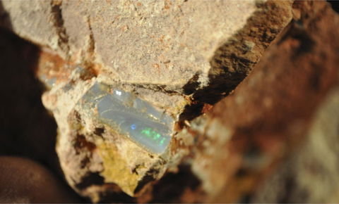 Ali's Underground - Australian Directory 21