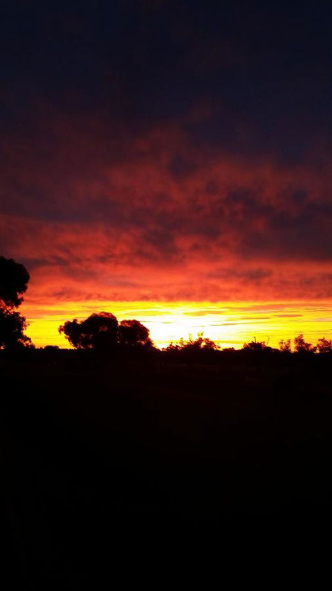 The Quorn-er House - Australian Directory 27