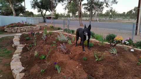 The Quorn-er House - Australian Directory 6