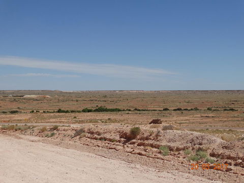 Di's Place - Australian Directory 21