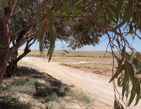 Di's Place - Australian Directory 17