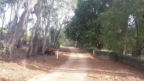 Taralee Orchards - Australian Directory 4