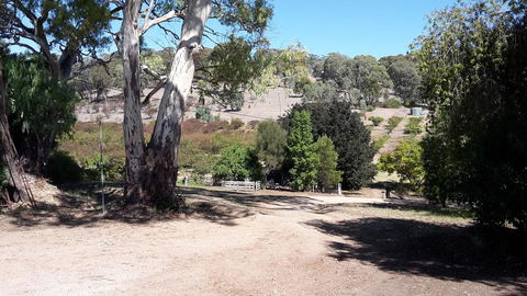 Taralee Orchards - Australian Directory 3