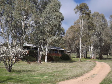 Taralee Orchards - Australian Directory 9