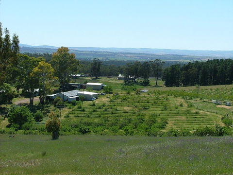 Taralee Orchards - Australian Directory 0