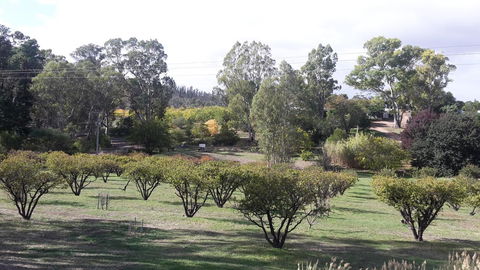 Taralee Orchards - Australian Directory 1