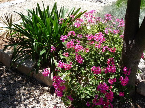 Country Bakehouse Accommodation - Australian Directory 18