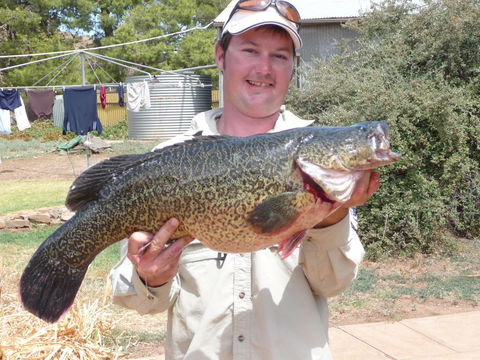 Country Bakehouse Accommodation - Australian Directory 20