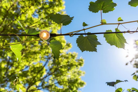 Adelaide Hills Retreats - Australian Directory 32