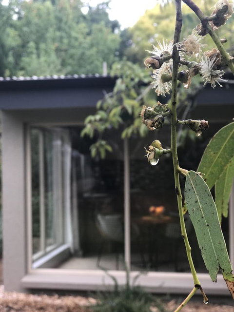 Adelaide Hills Retreats - Australian Directory 9