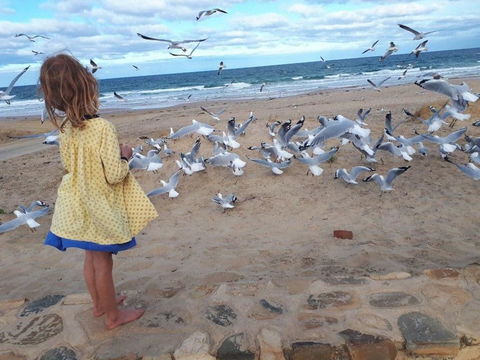 Moana Beach Tourist Park - Australian Directory 9