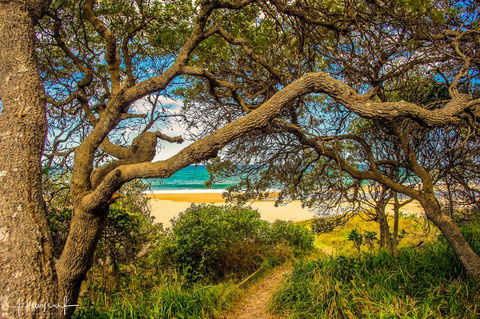Valla's Beach House - Australian Directory 2