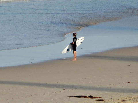 Coastal Horizons Beach House - Australian Directory 20