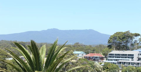 Narooma Palms Holiday Apartments - Australian Directory 4