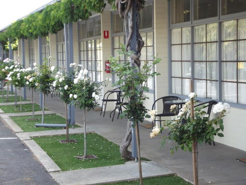 Guichen Bay Motel - Australian Directory 38