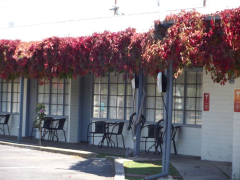 Guichen Bay Motel - Australian Directory 23