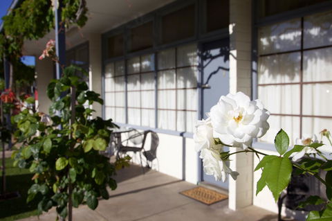 Guichen Bay Motel - Australian Directory 33
