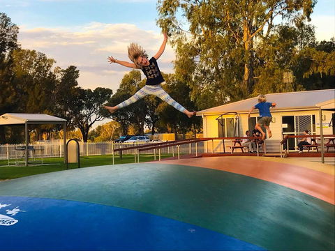 Waikerie Holiday Park - Australian Directory 8