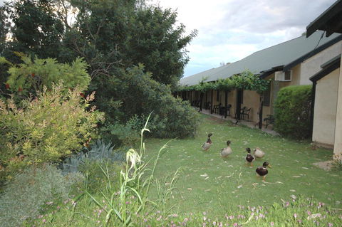 Burra Motor Inn - Australian Directory 24