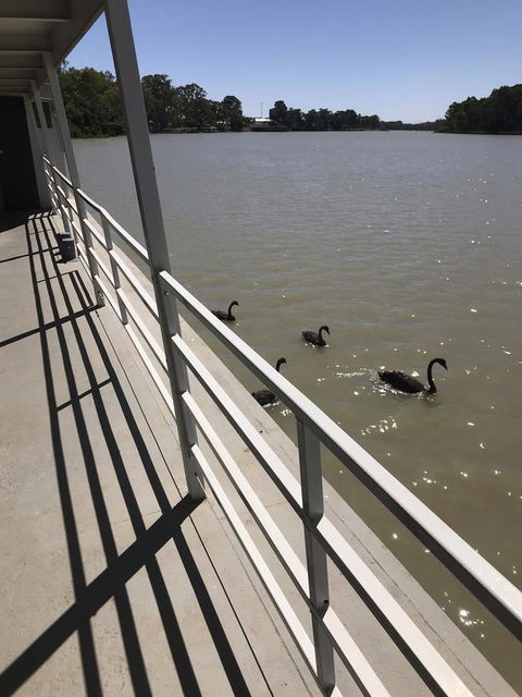 Murray River Queen - Australian Directory 7