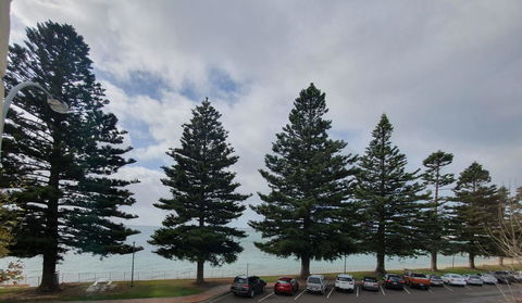 Pier Hotel - Australian Directory 12