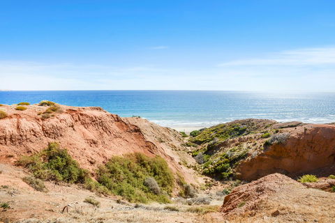 Salomon Sea Haus - Sellicks Beach - Australian Directory 1