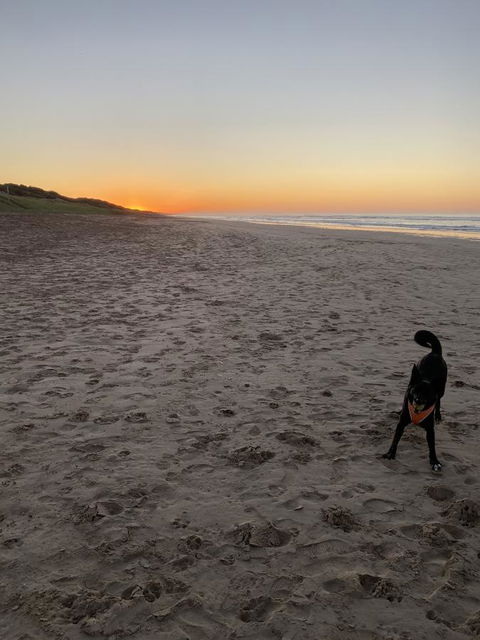 Goolwa Marinerâ€™s Cottage - Free Wifi And Pet Friendly - Centrally Located In Historic Region - Australian Directory 27