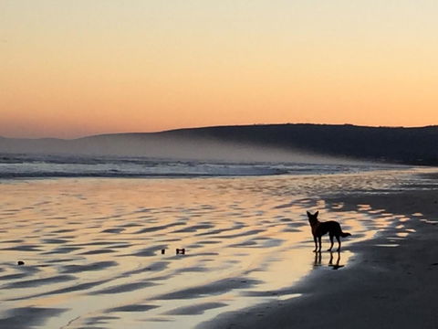 Goolwa Marinerâ€™s Cottage - Free Wifi And Pet Friendly - Centrally Located In Historic Region - Australian Directory 35
