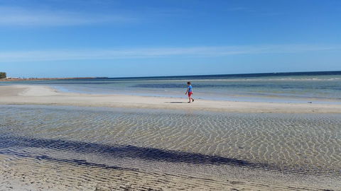 Seafront Shack - Australian Directory 9