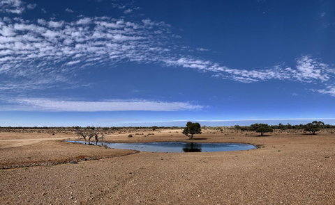 Opal Inn Hotel, Motel, Caravan Park - Australian Directory 10