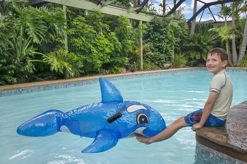 The Palms - Australian Directory 0