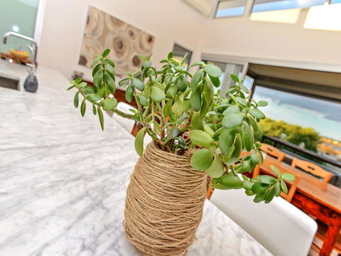 Muse On The Murray - Australian Directory 25