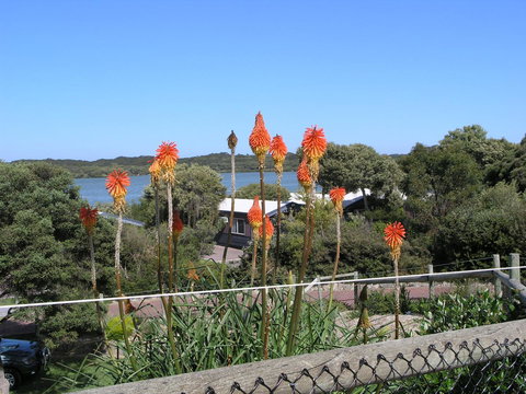 Lakeside Tourist Park - Australian Directory 3