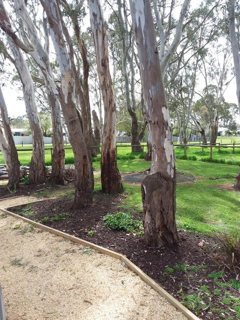 Cloisters Of Kalangadoo - Australian Directory 6