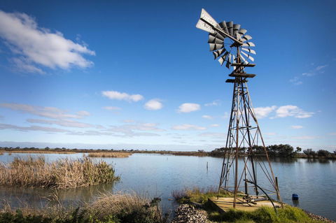 Limestone Ridge - Australian Directory 16