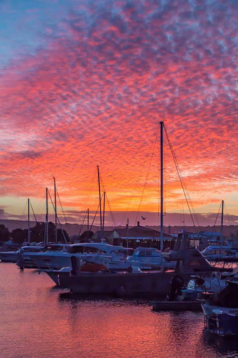 Marina Reflections - Australian Directory 12