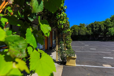 Country Roads Motor Inn Naracoorte - Australian Directory 16