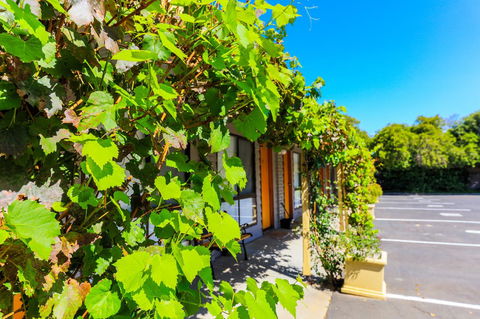 Country Roads Motor Inn Naracoorte - Australian Directory 18