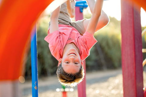 BIG4 Renmark Riverfront Holiday Park - Australian Directory 28