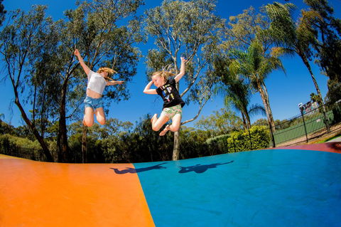 BIG4 Renmark Riverfront Holiday Park - Australian Directory 37