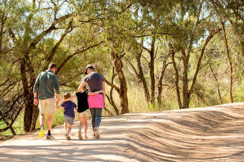 BIG4 Renmark Riverfront Holiday Park - Australian Directory 13