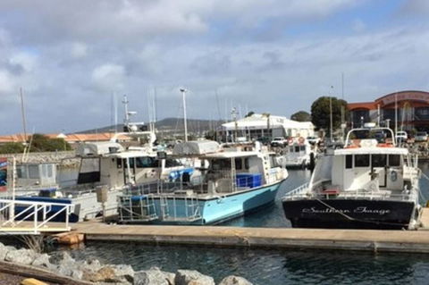 The Shark Apartments 2 - Australian Directory 17