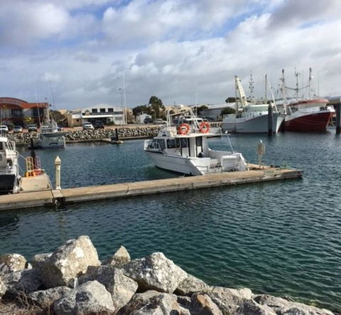 The Shark Apartments 2 - Australian Directory 18